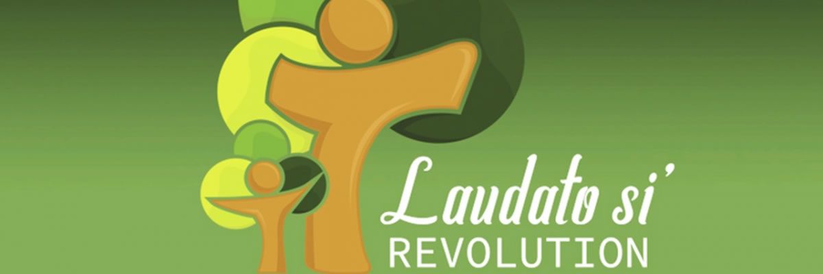 Acting On Laudato Si’: What Is The Laudato Si’ Action Platform?