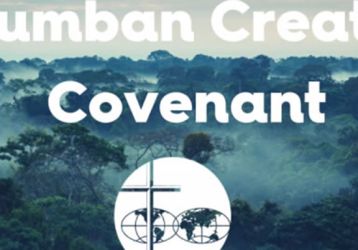 Columban Creation Covenant with a forest background